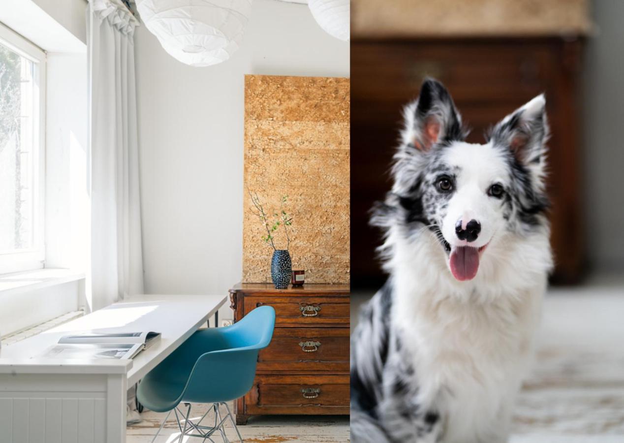 White Loft Stare Bielany Vintage Slow Warsaw Ngoại thất bức ảnh